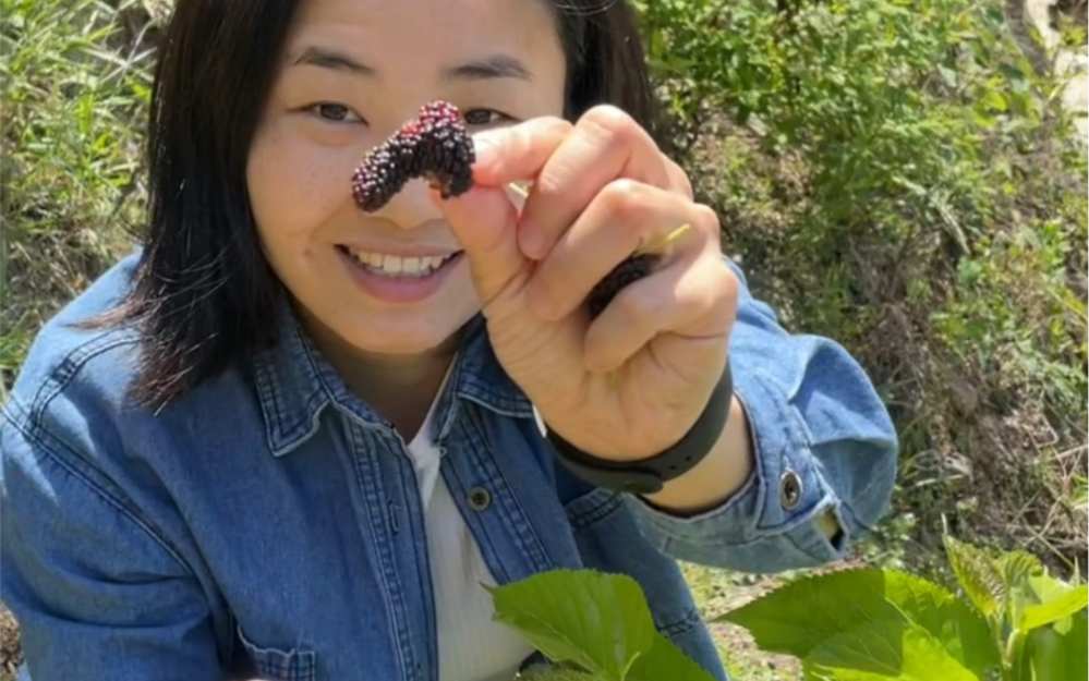 山里人为什么要住在山里呢?我家门口有颗小小的桑葚树,早上红几颗我们就来摘了吃,酸酸甜甜的,就像我们的人生一样有滋有味,多么美好呀!哔哩哔...