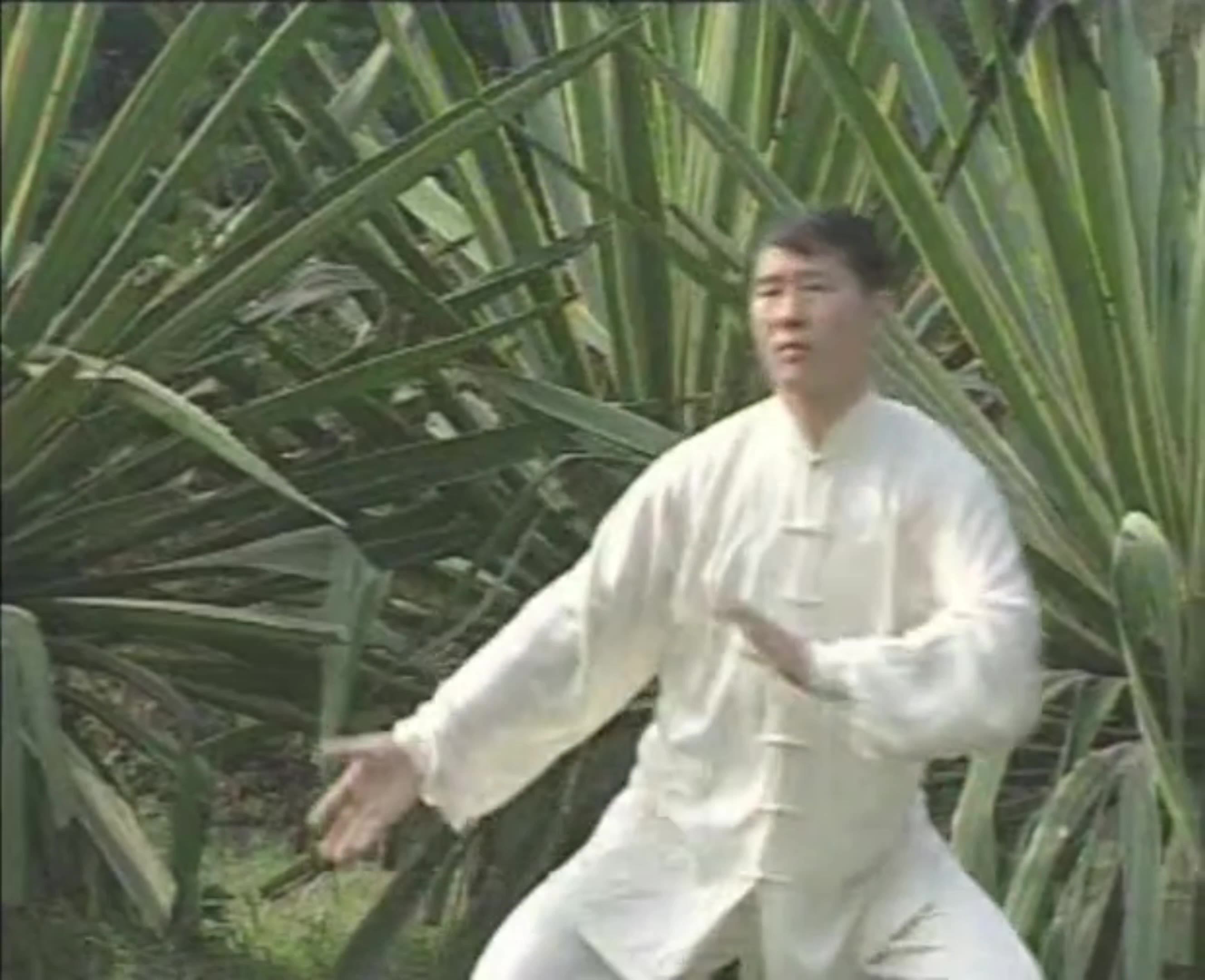 缠丝功-太极拳基本功