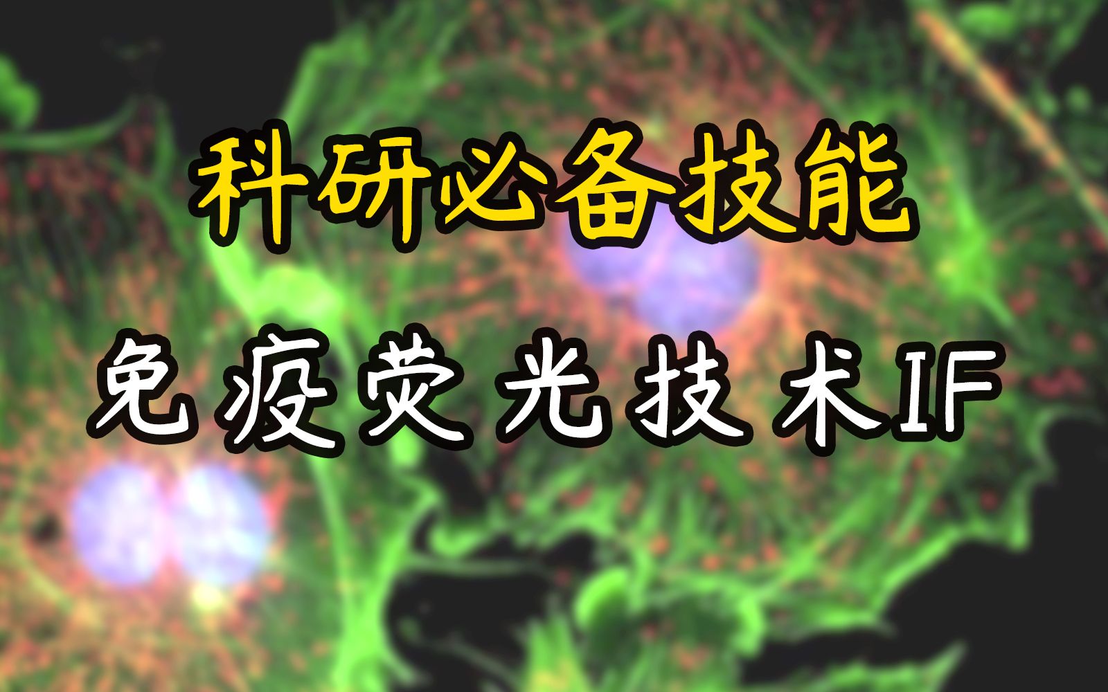 【直播课】免疫荧光技术IF荧光染色,荧光抗体技术,Immunofluorescence technique,免疫荧光定量分析哔哩哔哩bilibili