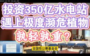 能源开发VS生态保护:全国首例珍稀野生植物保护预防性公益诉讼哔哩哔哩bilibili