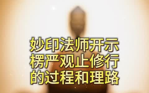 楞严观止修行的过程和理路.妙印法师开示哔哩哔哩bilibili