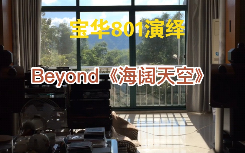 [图]宝华801演绎Beyond最经典老歌《海阔天空》