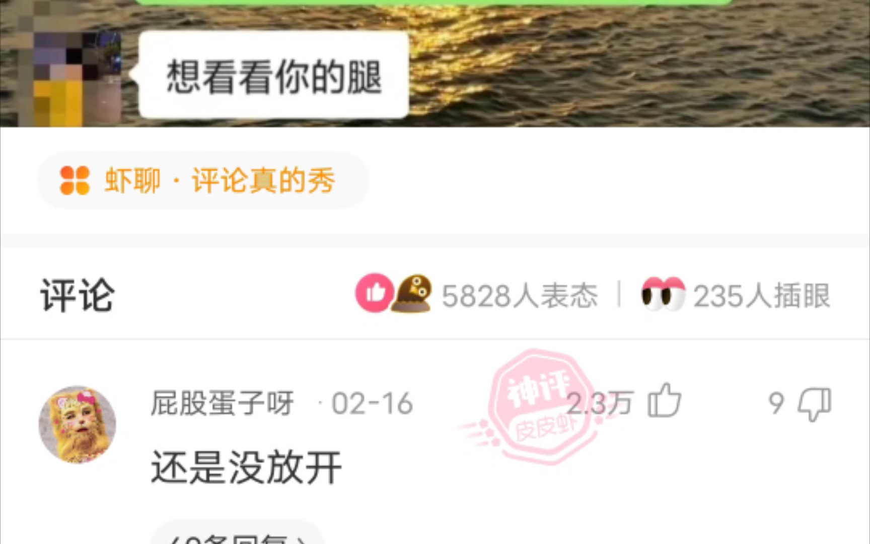 网络吊图+神评哔哩哔哩bilibili