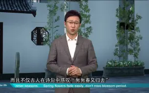 Скачать видео: 春景易逝，都怪春天太短暂？