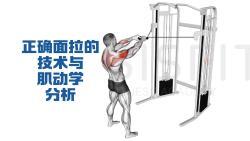 面拉(face pull)的技术与肌动学分析 - 哔哩哔哩
