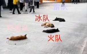 Download Video: 幻塔玩家现状