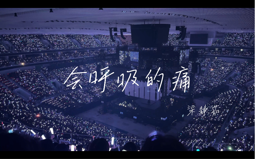 【4k60帧】梁静茹 会呼吸的痛 live现场