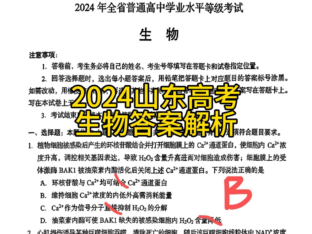 2024年山东高考生物试卷、答案、解析(单选),地狱级难度的山东试卷,你单选错了几道?哔哩哔哩bilibili