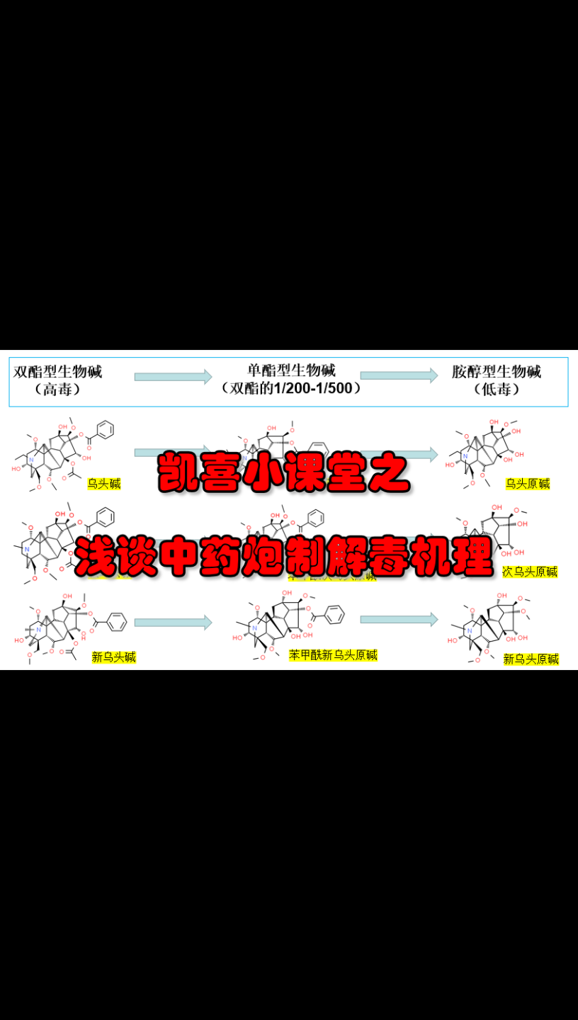 凯喜小课堂5:浅谈由乌头碱引申的中药炮制解毒机理哔哩哔哩bilibili