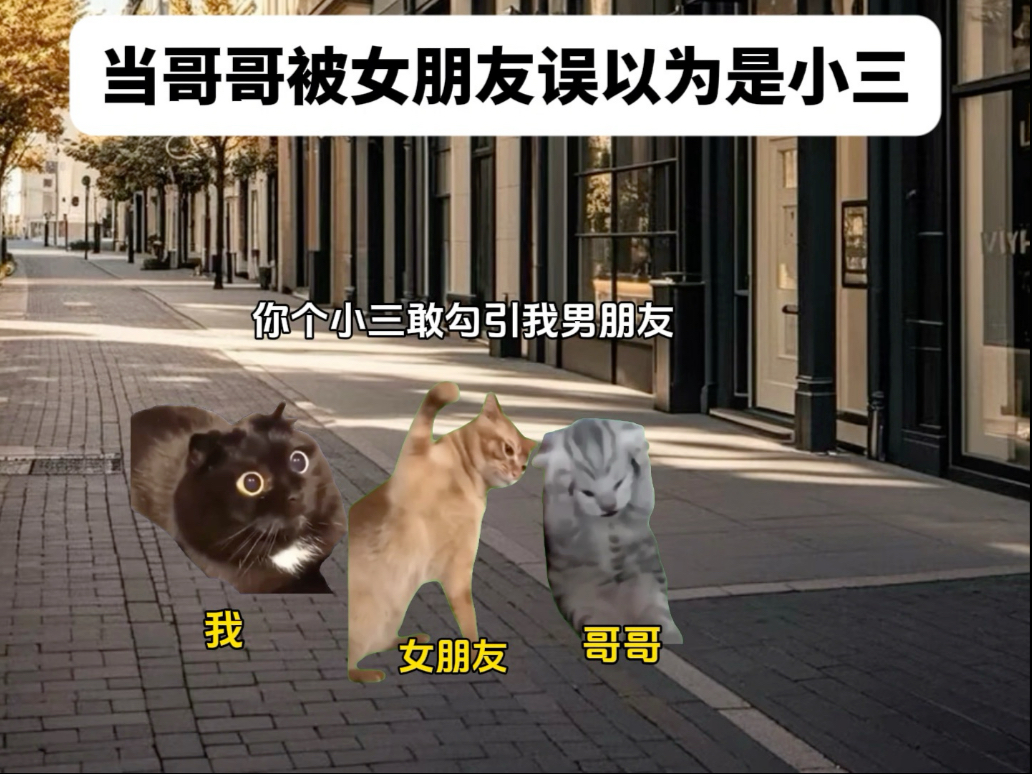 当哥哥被女朋友误以为是小三-猫meme小剧场江笑笑-猫meme小剧场江笑笑-哔哩哔哩视频