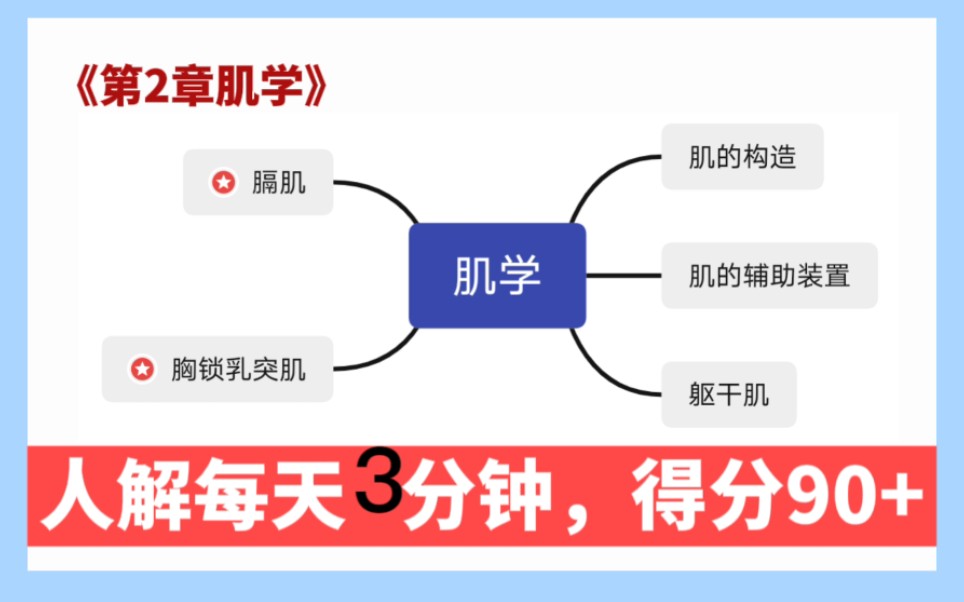 [图]《系统解剖核心知识点背诵》【人体解剖第3章肌学背诵】专升本系统解剖大学期末考试核心知识点每天背诵钟轻松拿高分专升本系统解剖