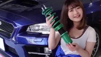 挑战安装tein避震器 Tein Flex Z 哔哩哔哩 Bilibili