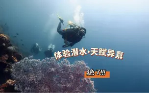 体验潜水里特别优秀的，天赋异禀无疑