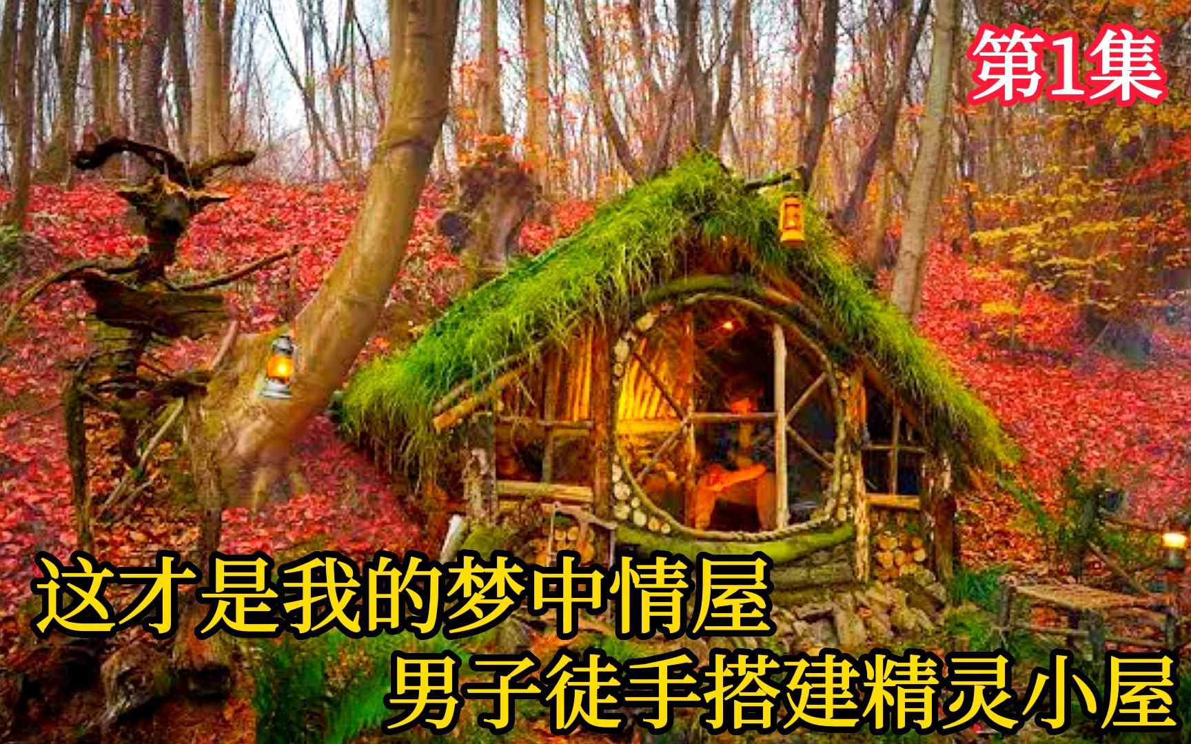 这是我见过的最精致的庇护所,男子徒手搭建精灵小屋,第一集哔哩哔哩bilibili