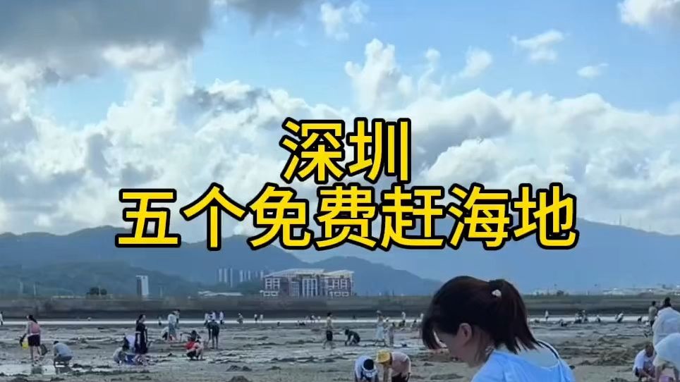 深圳免费赶海地,喜欢赶海的朋友收藏起来,先查好潮汐表,再带上工具,来挖贝壳、抓螃蟹~哔哩哔哩bilibili