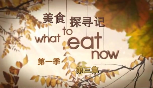 美食探寻记.What.To.Eat.Now.S01E03.中英字幕.TVrip.608X352哔哩哔哩bilibili