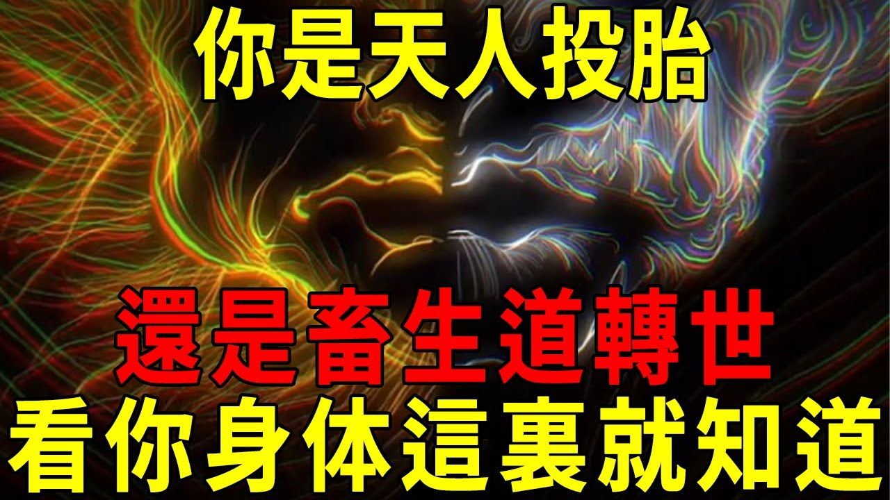 [图]轮回转世天机泄露，你是天人投胎，还是畜生道转世？看你这个地方全知道了！ 【晓书说】