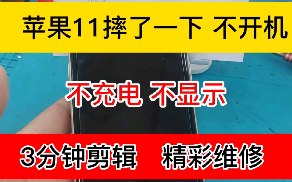 苹果11摔一下不开机了 青岛苹果11维修#青岛修手机 #苹果11哔哩哔哩bilibili