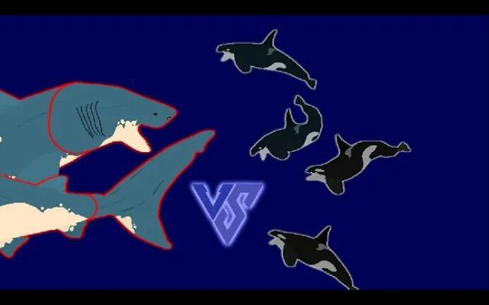 巨齿鲨vs虎鲸_哔哩哔哩_bilibili