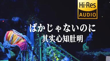 真夜中/中日字幕/FULL LIVE】ZUTOMAYO FACTORY「鷹は飢えても