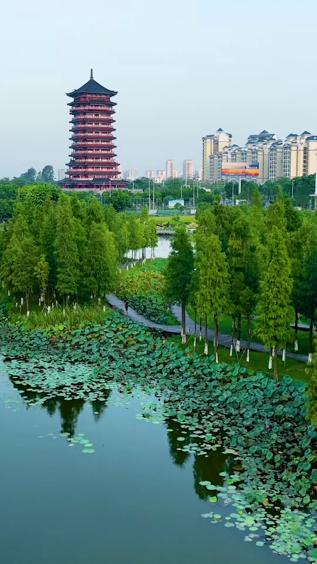 广西钦州风景图片图片