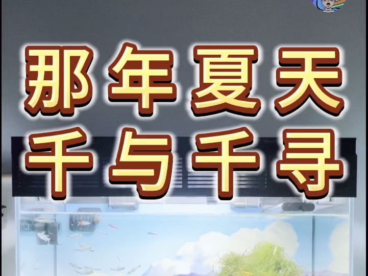 来看宫崎骏的鱼缸千与千寻海上列车小米鱼缸造景哔哩哔哩bilibili