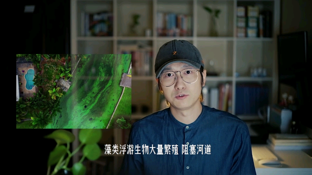 鹤老师经济课第二讲基石篇之商品效用泛滥美国的亚洲鲤鱼