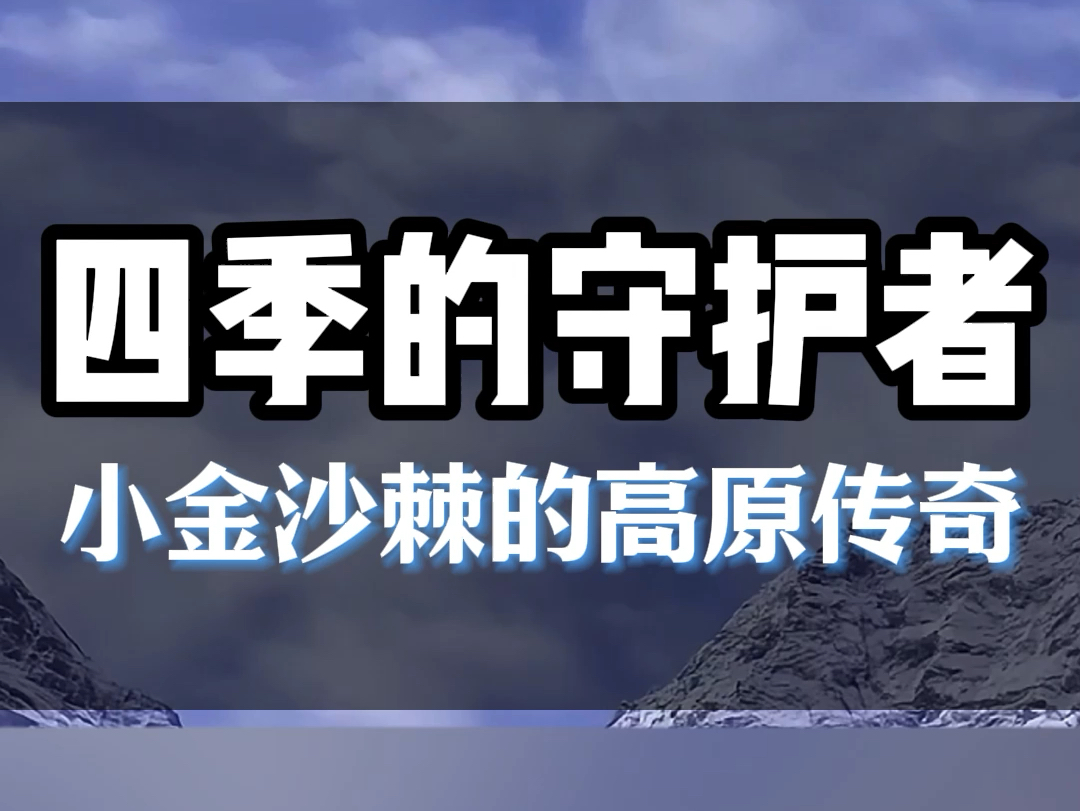 小金沙棘的高原传奇#大自然的馈赠#特色农产品#沙棘#我为家乡农产品代言哔哩哔哩bilibili