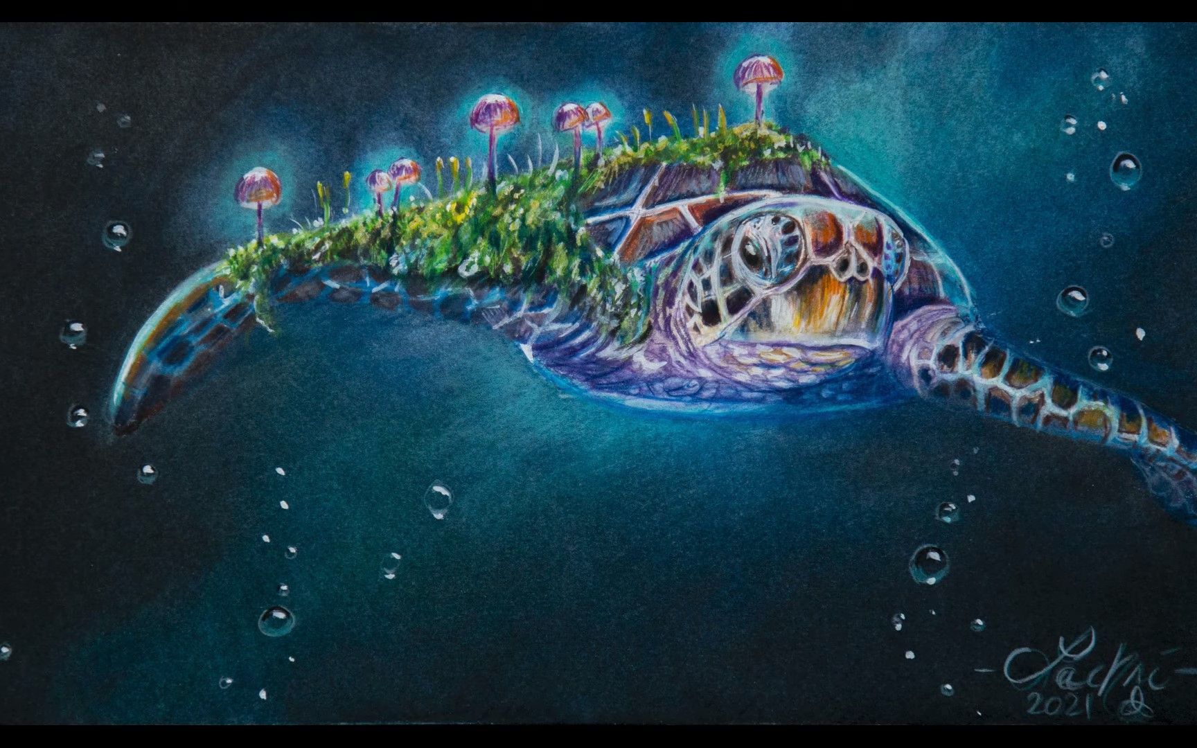 彩铅梦幻的彩铅绘画彩铅技法绘画过程海洋世界海龟