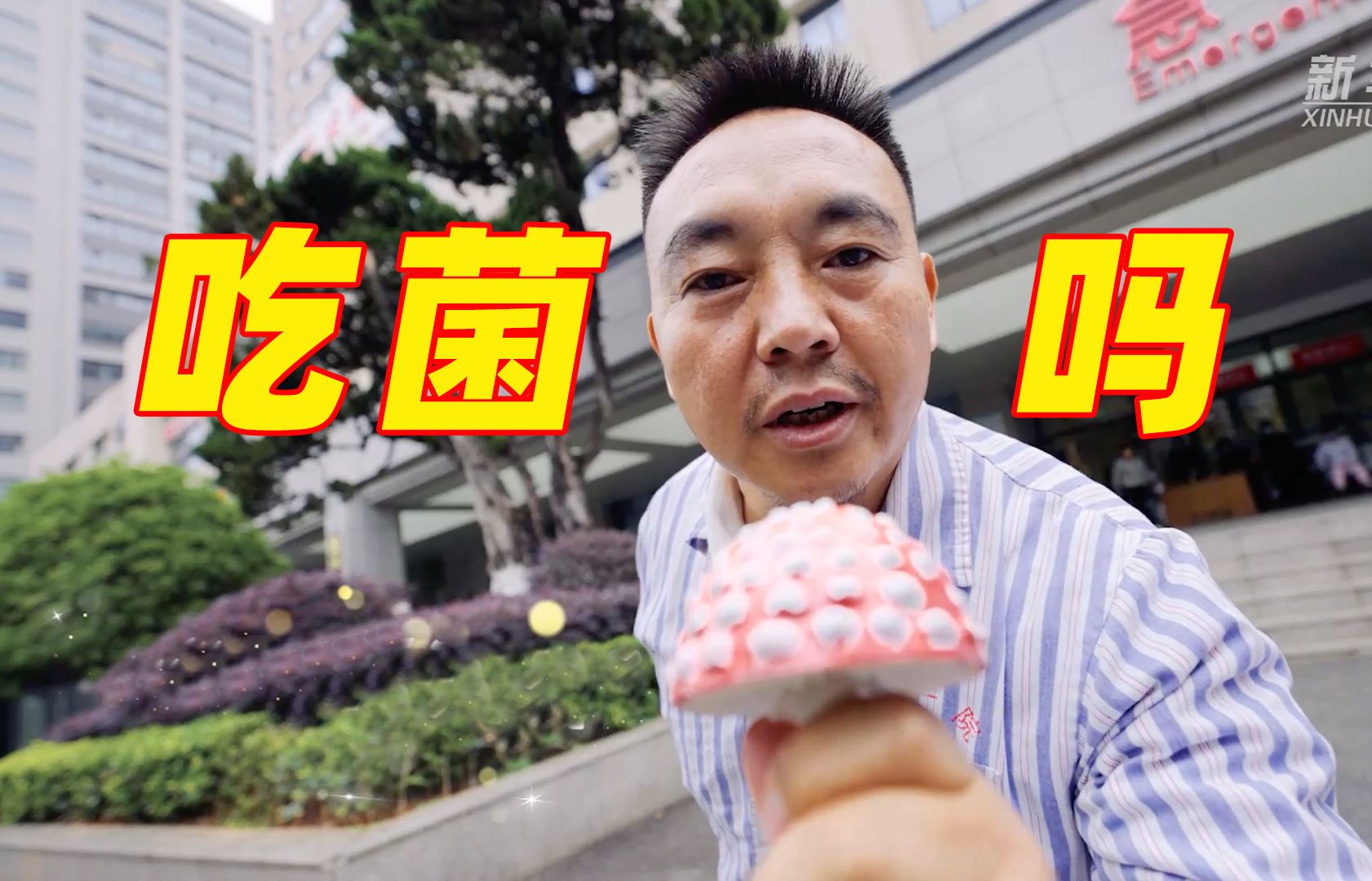 听说云南人又收到一年一度"吃菌短信"了?96