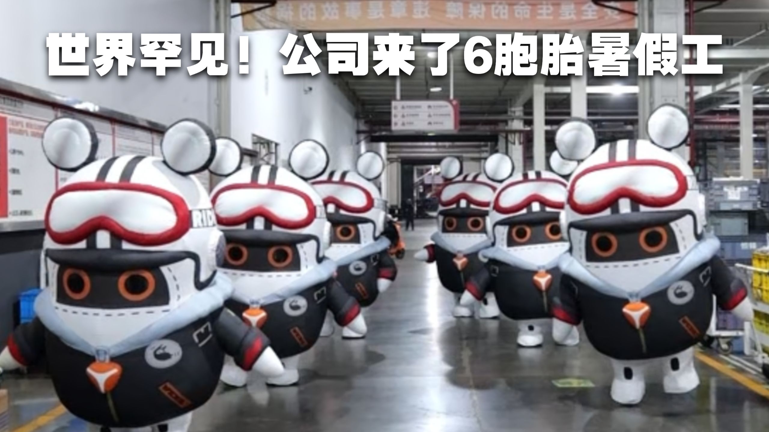 世界罕见！公司来了6胞胎暑假工