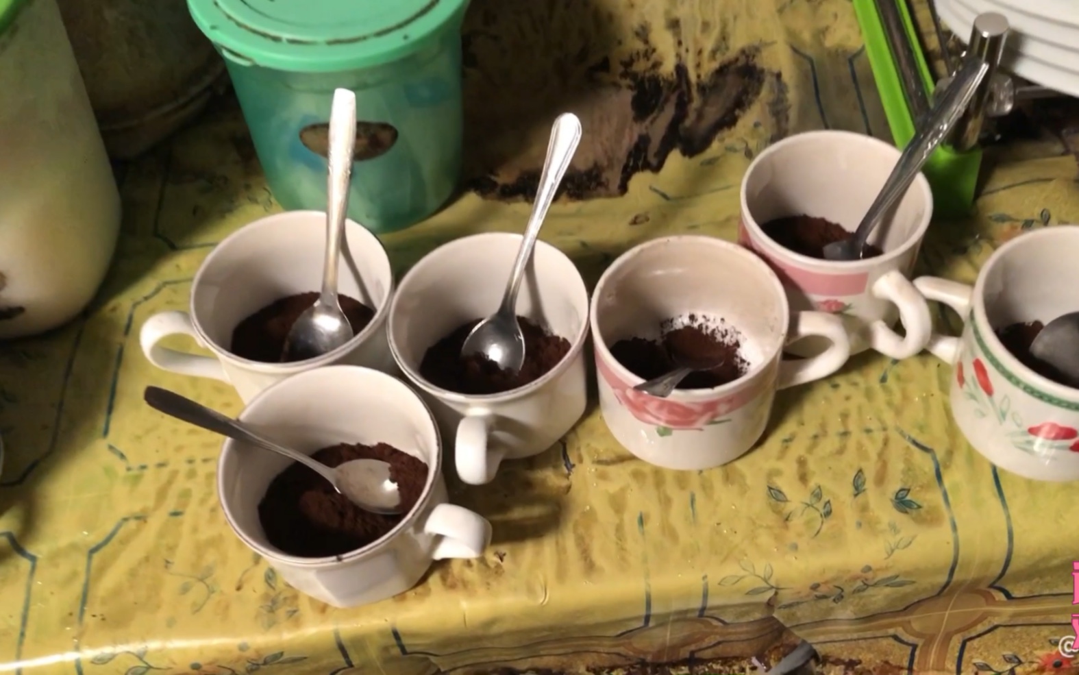 印尼苏门答腊多巴湖体验当地咖啡