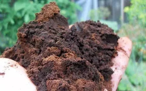 利用花盆厌氧堆肥理论和实操