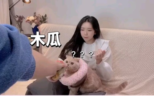 让我吃木瓜???啥意思呀哔哩哔哩bilibili