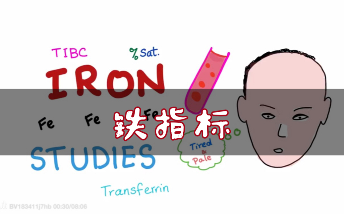 【搬运中英字幕】铁的相关指标 血清铁 Iron Studies (Part 2 Serum Fe, TIBC, ferritin& %Sat.)哔哩哔哩bilibili