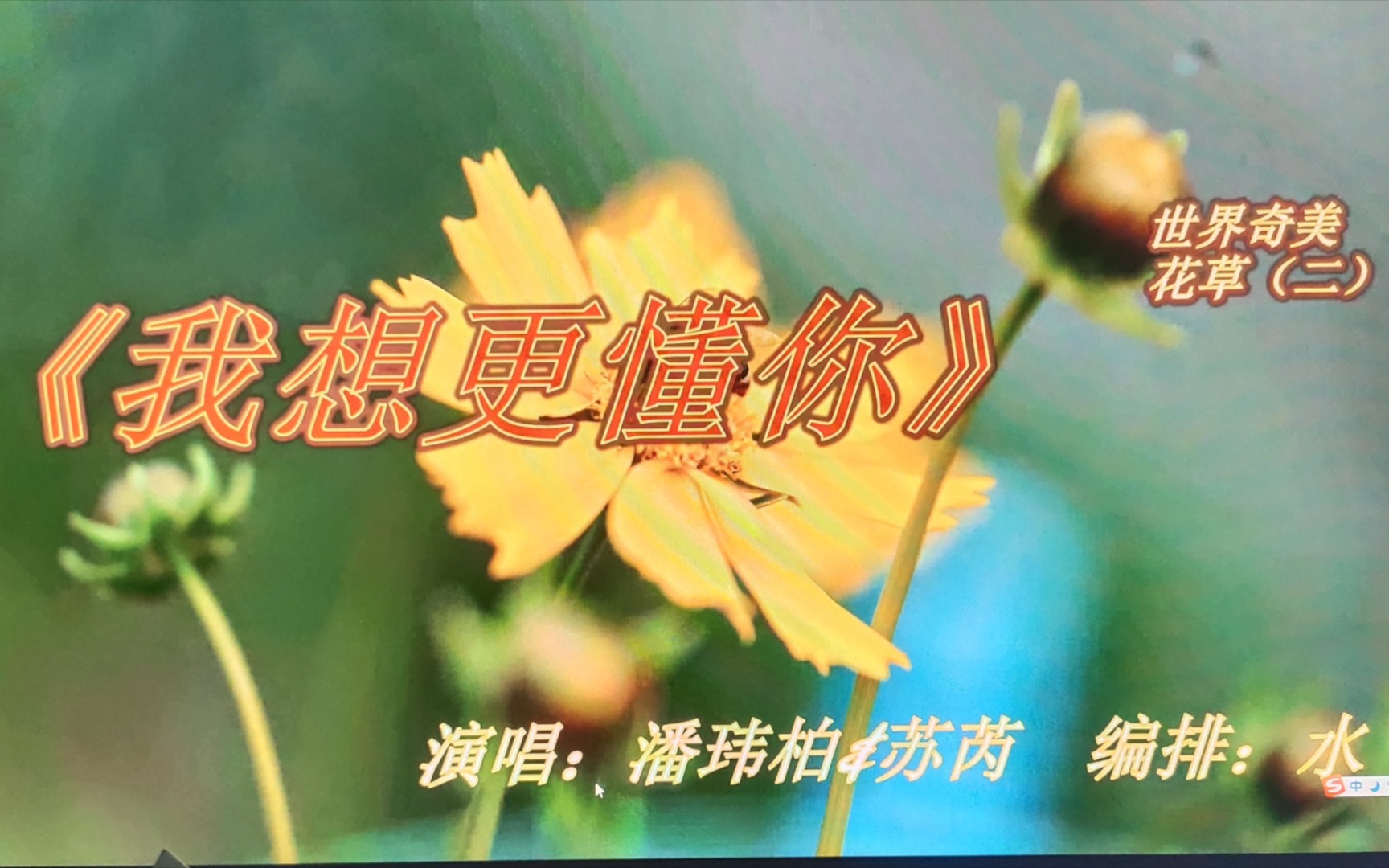 [图]歌曲《我想更懂你》演唱：潘玮柏/苏芮    奇花异草(二)