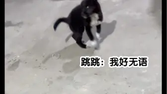 人和狗总得先疯一个
