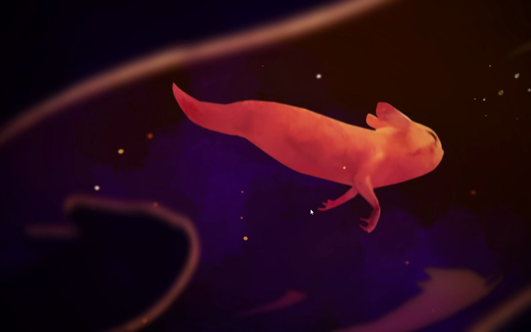 【雨世界/流程纪念】身前生后徒留余烬-红猫猫飞升cg&结算-夏以南秋