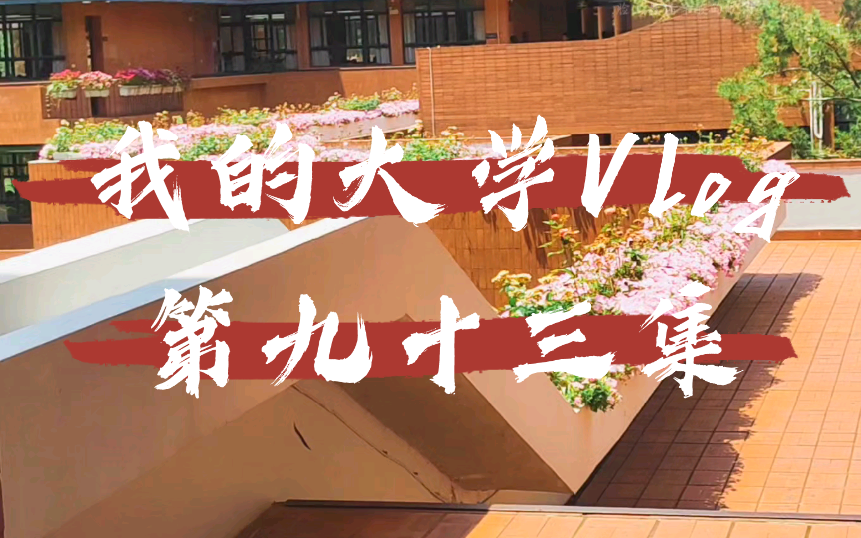 【我的大学vlog】本学期最后一个周一怎么过04当然