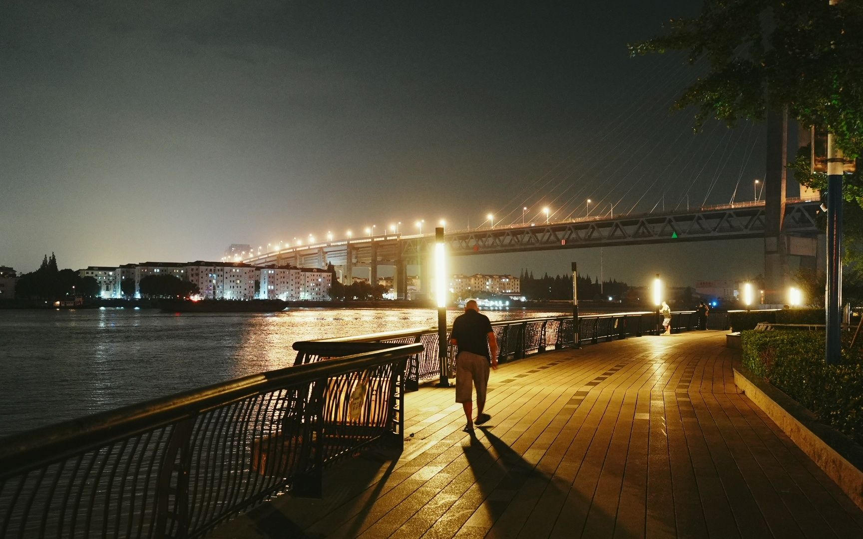 闵浦大桥夜景图片