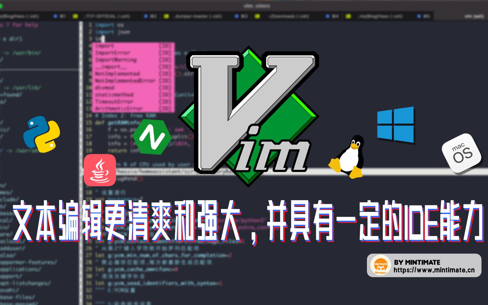 13分钟详解Linux上如何安装Vim插件—YouCompleteMe:文本编辑更清爽和强大,并具有一定的IDE能力