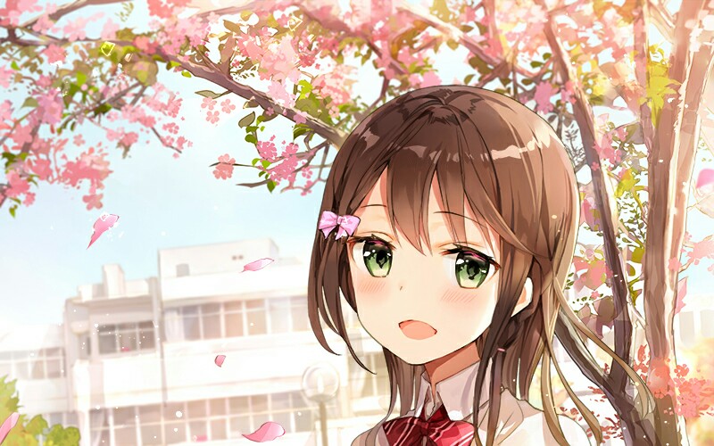 boko～入场视频_哔哩哔哩 (゜-゜)つロ 干杯~-bilibili