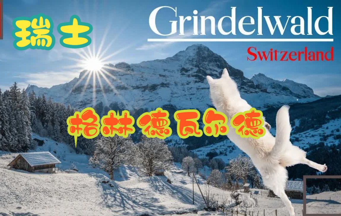 【4K】瑞士 格林德瓦 冰雪小镇Grindelwald哔哩哔哩bilibili