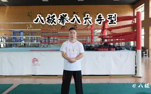 Tải video: 八极拳八大手型讲解