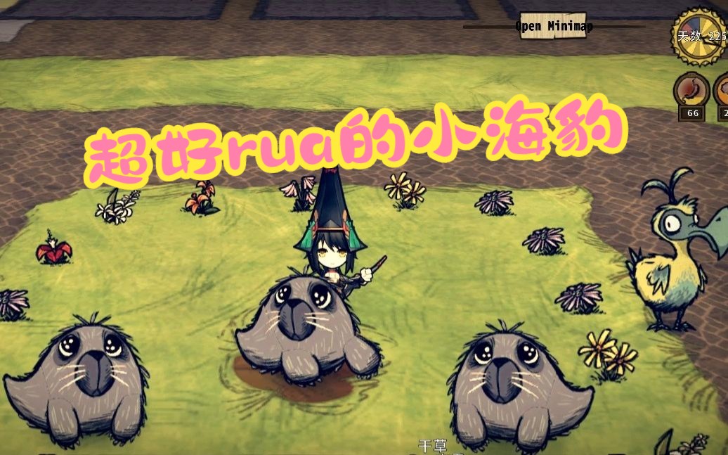 「饥荒-海难」超好rua的小海豹