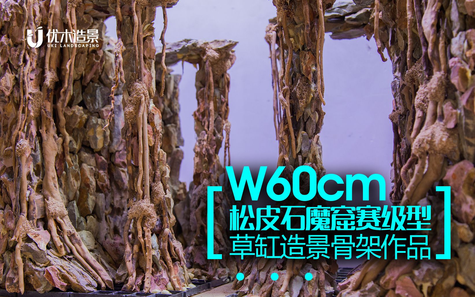 w60cm松皮石魔窟賽級型的草缸造景骨架作品