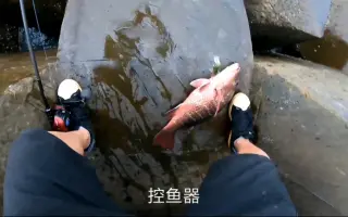 防波堤路亚钓鱼 搜索结果 哔哩哔哩弹幕视频网 つロ乾杯 Bilibili