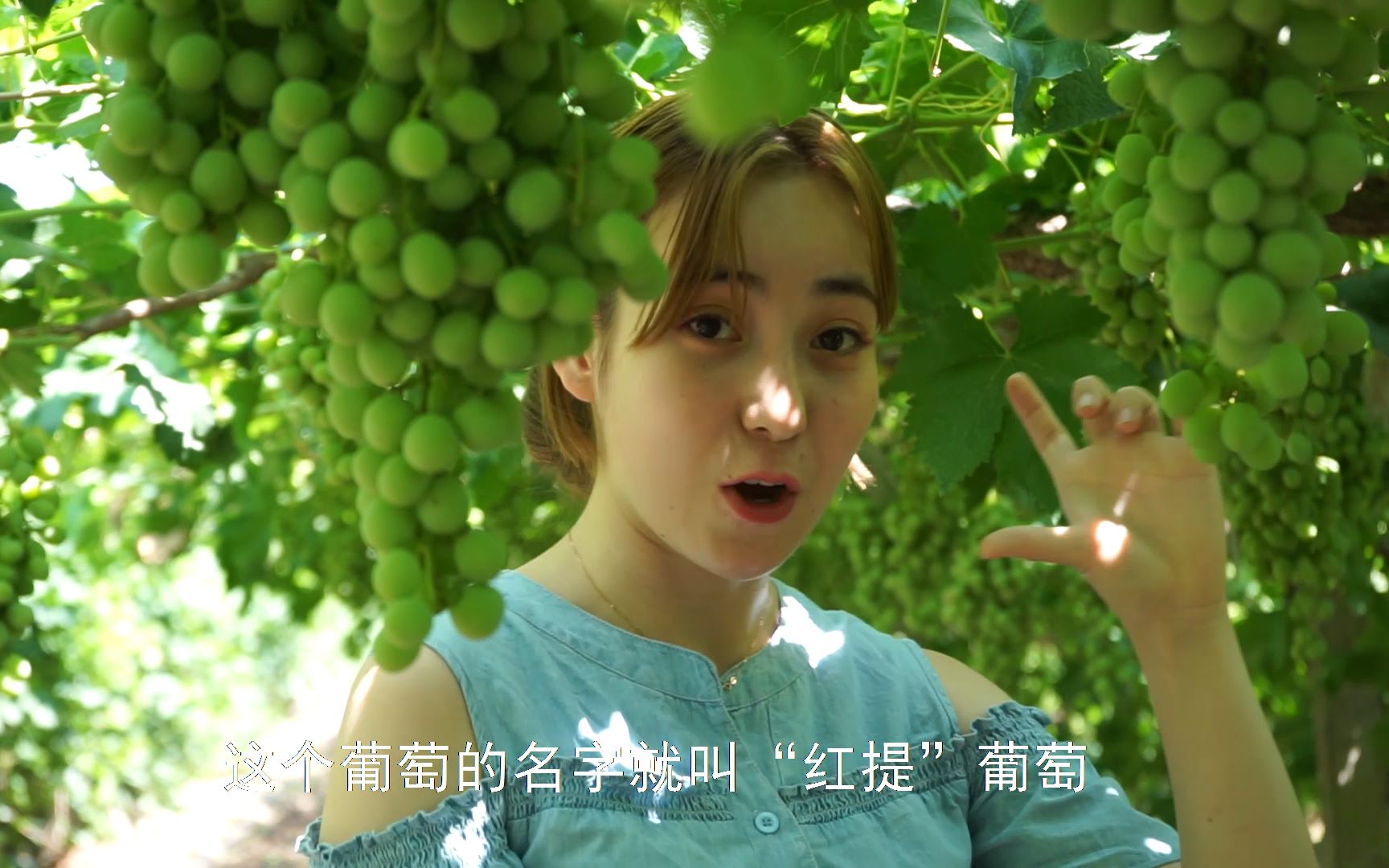 安妮古丽都知道新疆水果好吃新疆的农场长什么样呢维族美女带你去