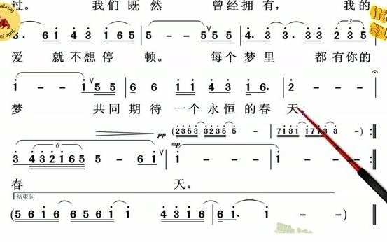 等待教谱哔哩哔哩bilibili