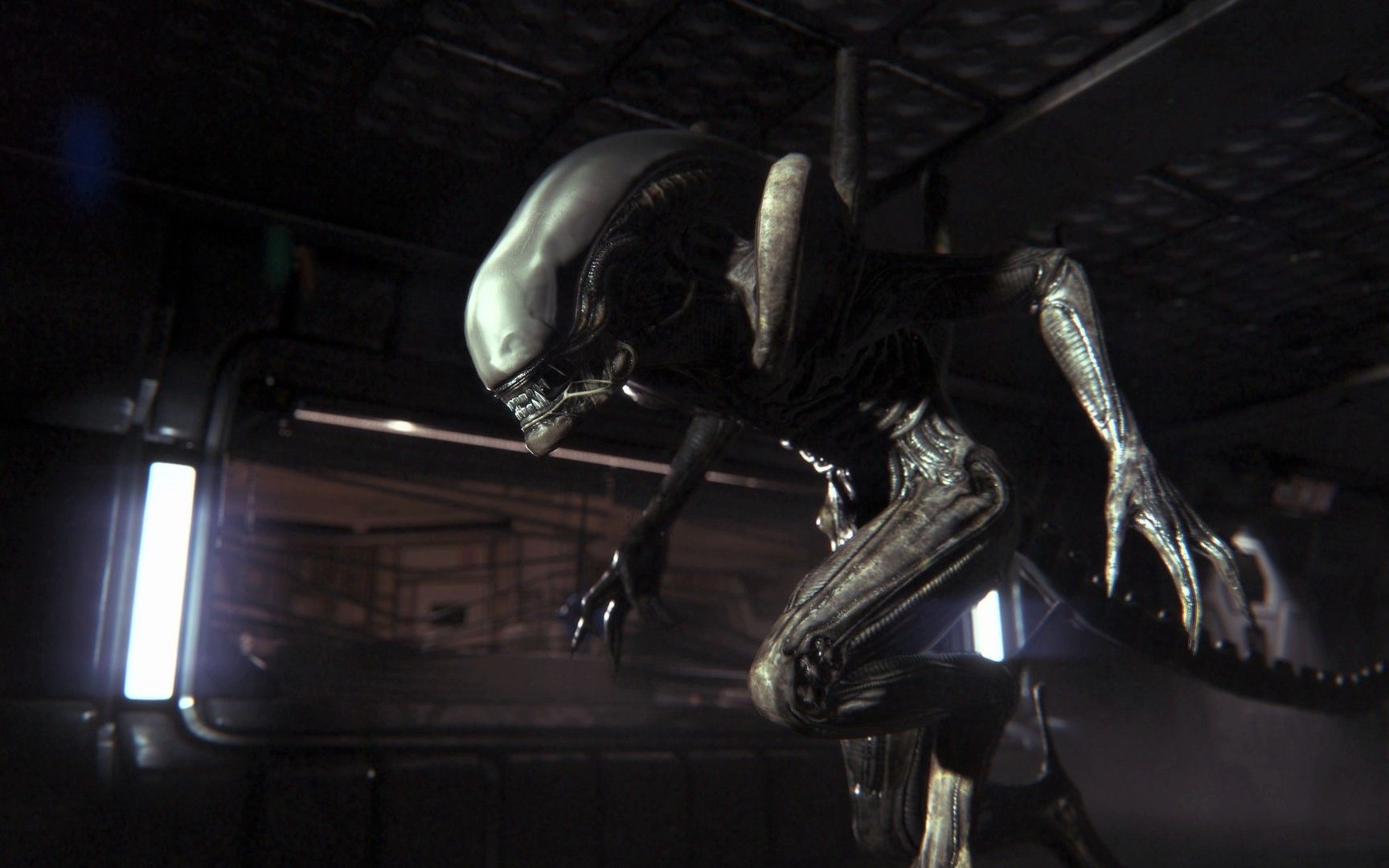 《异形隔离》03异形出现啦_游戏攻略